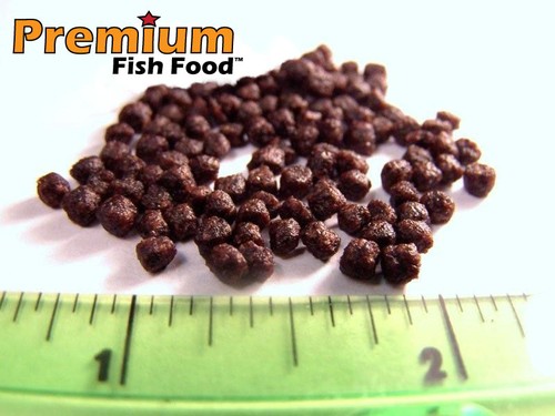 Lbs premium bulk cichlid - 10,