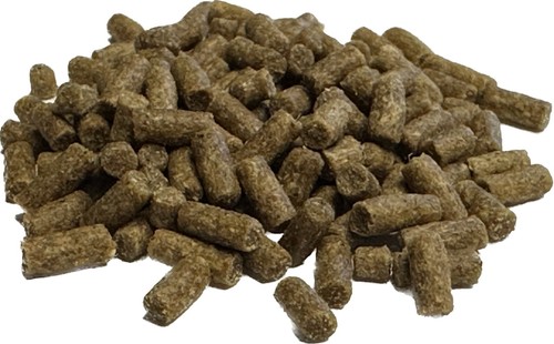 Shrimp food sinking - shrimp,